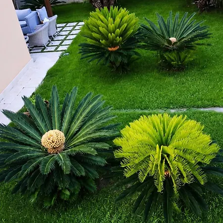 Apartment Villa Favignana Favignana